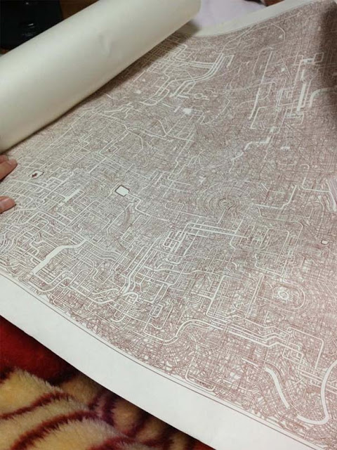Άνδρας αφιέρωσε 7 χρόνια για να σχεδιάσει τον πιο πολύπλοκο λαβύρινθο στον κόσμο - Φωτογραφία 2