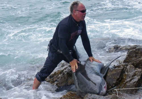 Καταδικάστηκε γιατί σκότωσε ένα μεγάλο λευκό καρχαρία - Φωτογραφία 4