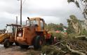 Πρέβεζα: Δυνατός άνεμος προκάλεσε ζημιές στην περιοχή του Φαναρίου