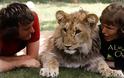 Κρίστιαν το λιοντάρι: Μια συγκινητική ιστορία!