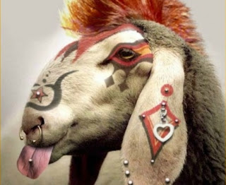 Τέχνη ποιμαντική... - Φωτογραφία 3