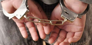 Συνελήφθη Γεωργιανός για ληστεία εις βάρος Αυστραλού στο Βόλο - Φωτογραφία 1