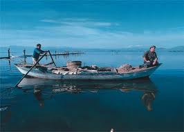 Σύλλογος Ενεργών Πολιτών Αμβρακικού: Ο Αμβρακικός πνέει τα λοίσθια, σε απόγνωση οι ψαράδες! - Φωτογραφία 1