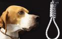 Κρέμασμα σκυλιών τις απόκριες πραγματοποιούσαν σε πολλές περιοχές της Ελλάδας