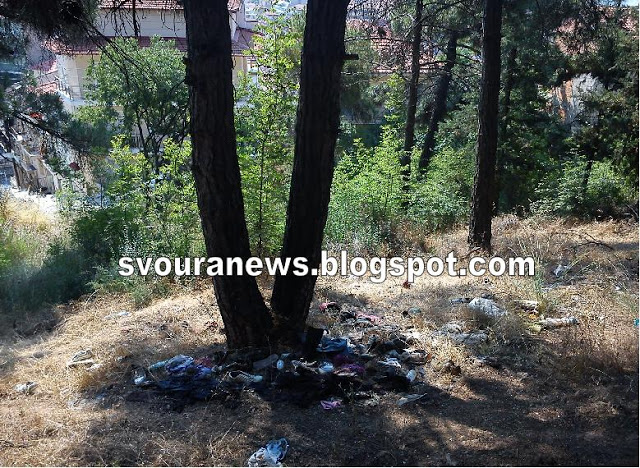Σκουπίδια, μπάζα και ρούχα διάσπαρτα στο ζωογόνο δασύλλιο της Καλλιθέας - Φωτογραφία 17
