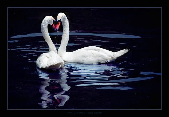 Υπέροχες φωτογραφίες που μοιάζουν ψεύτικες - Φωτογραφία 17