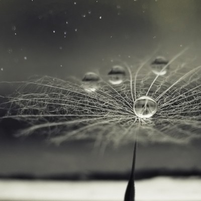 Υπέροχες φωτογραφίες που μοιάζουν ψεύτικες - Φωτογραφία 22