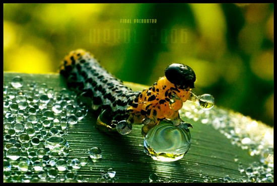 Υπέροχες φωτογραφίες που μοιάζουν ψεύτικες - Φωτογραφία 6