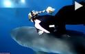 VIDEO: Δύτρια μιλάει με λευκό καρχαρία!