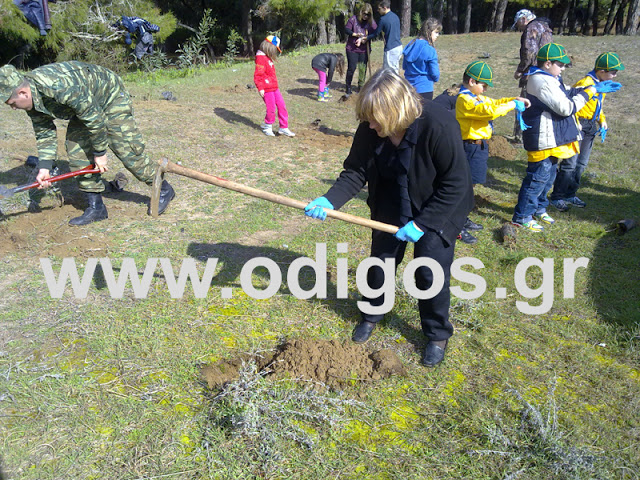 Με τη συμμετοχή της ΣΕΤΤΗΛ έγινε δεντροφύτευση στο αλσύλιο της Σπιάντζας Ηλείας - Φωτογραφία 3