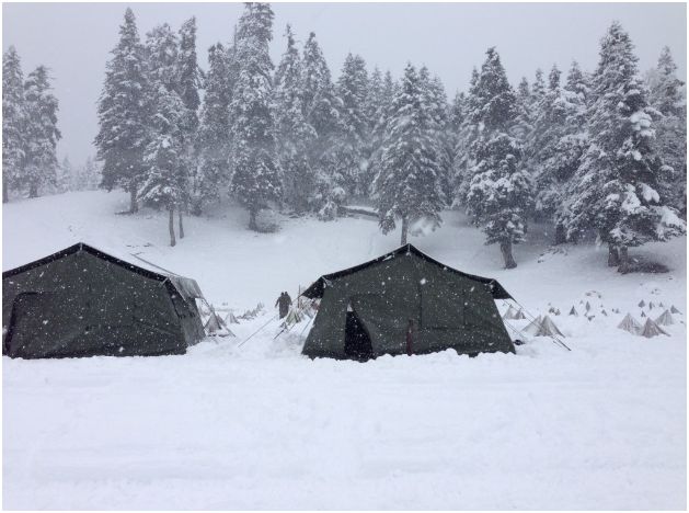 ΒΓΗΚΑΝ… ΣΤΡΑΤΕΥΜΑΤΑ ΣΤΟ ΠΕΡΤΟΥΛΙ!!! - Φωτογραφία 2