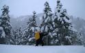 Παρνασσός: Το χιόνι ξεπερνούσε τα τρία μέτρα! - Φωτογραφία 4