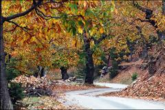 Χωριά Πάρνωνα: On the road αποδράσεις για λίγους