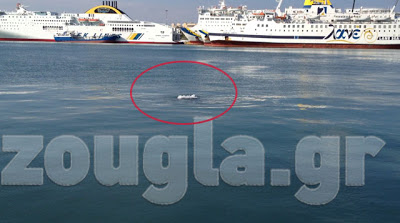Σάλτο απόγνωσης στο λιμάνι του Πειραιά για 53χρονο παρολίγον αυτόχειρας - Φωτογραφία 2