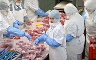 Γερμανία: Ενισχύονται οι έλεγχοι μετά το σκάνδαλο με το κρέας αλόγου - Φωτογραφία 1
