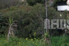 Έτσι βρήκαν τη νέα γιάφκα των Πυρήνων στα Τουρκοβούνια - Σχεδόν όλοι είχαν περάσει από εκεί