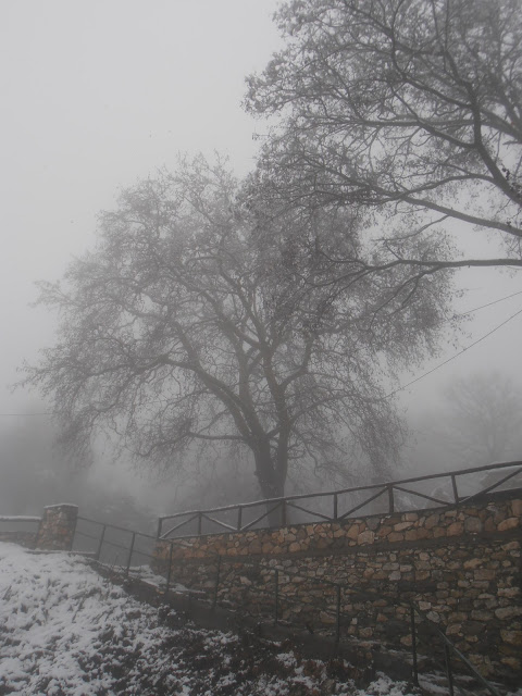 Πανέμορφες φωτογραφίες από το χιονισμένο Παλιό Κωσταράζι Καστοριάς! - Φωτογραφία 6