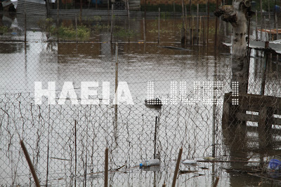 Πύργος: Στο ίδιο έργο θεατές – Πλημμύρησαν ξανά περιοχές της πόλης (photos & video) - Φωτογραφία 8