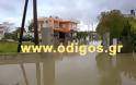 Πλημμύρισαν σπίτια και χωράφια στο Καταράχι Ηλείας απο τη νεροποντή [video]