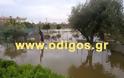Πλημμύρισαν σπίτια και χωράφια στο Καταράχι Ηλείας απο τη νεροποντή [video] - Φωτογραφία 2