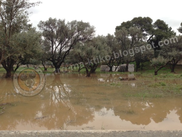 Φωτογρφίες και βίντεο από το σημείο που η 25χρονη Αγγελική έχασε τη ζωή της - Φωτογραφία 4