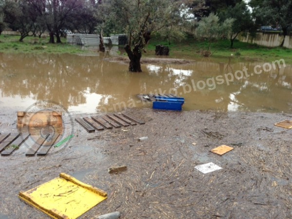 Φωτογρφίες και βίντεο από το σημείο που η 25χρονη Αγγελική έχασε τη ζωή της - Φωτογραφία 6