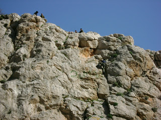 Άσκηση της Μονάδας Εφέδρων Καταδρομών Μ.Ε.Κ. στον βράχο Γ των Ειδικών Δυνάμεων - Φωτογραφία 7
