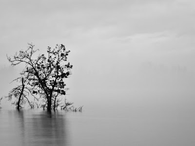 Φωτογραφικό αφιέρωμα στην Λίμνη Πλαστήρα από το χωριό Καλύβια Πεζούλας - Φωτογραφία 13
