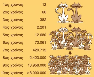 Η βασική αιτία αύξησης των αδέσποτων ζώων - Φωτογραφία 2