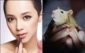 Η Shiseido σταματάει τις δοκιμές καλλυντικών σε ζώα