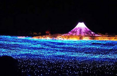 Εντυπωσιακό φεστιβάλ φωτός στην Ιαπωνία! - Φωτογραφία 5