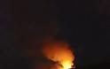 Φωτιά σε φωτοβολταϊκό πάρκο στην Παλαιοπαναγιά Ναυπακτίας