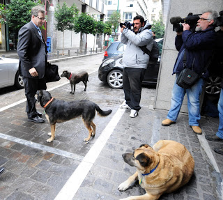 Τετράποδη... υποδοχή στους επικεφαλής της τρόικας - Φωτογραφία 8