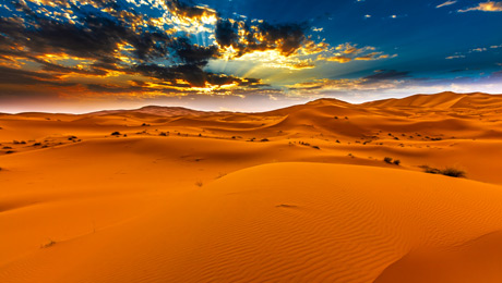 Μια έρημος ονείρων: ζήστε την εμπειρία της Σαχάρας - Φωτογραφία 1