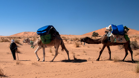 Μια έρημος ονείρων: ζήστε την εμπειρία της Σαχάρας - Φωτογραφία 2