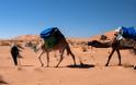 Μια έρημος ονείρων: ζήστε την εμπειρία της Σαχάρας - Φωτογραφία 2