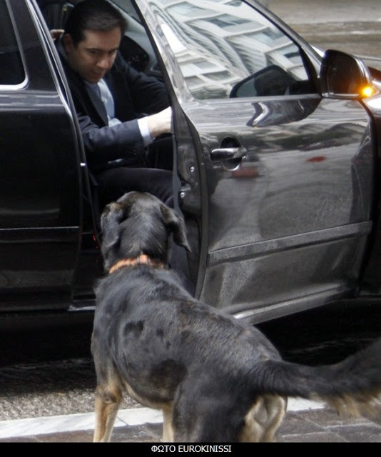 Ο Λουκάνικος και η υπόλοιπη... παρέα πήραν στο κυνήγι τους Τροικανούς - Φωτογραφία 2