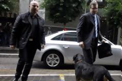 Έγινε κι αυτό: Eπίθεση από αδέσποτα σκυλιά δέχτηκε χθες η Τρόικα [εικόνες]