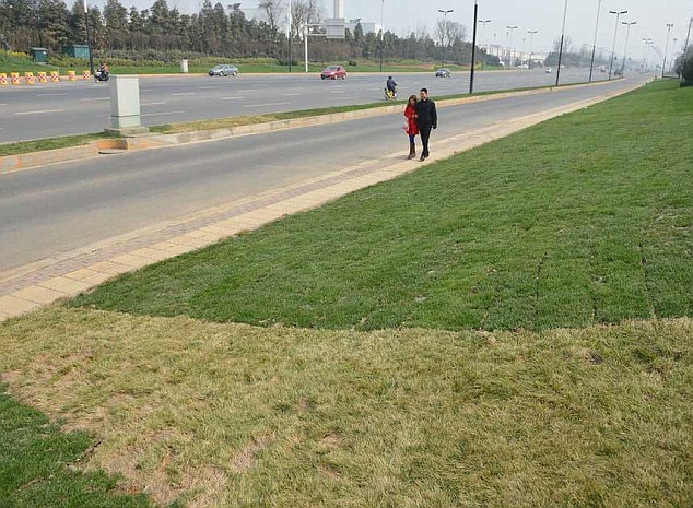 Στην Κίνα… το βάφουν το γρασίδι - Φωτογραφία 5