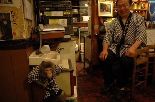 Σερβιτόροι- μαϊμούδες σε γιαπωνέζικο εστιατόριο! - Φωτογραφία 1