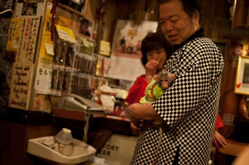 Σερβιτόροι- μαϊμούδες σε γιαπωνέζικο εστιατόριο! - Φωτογραφία 2