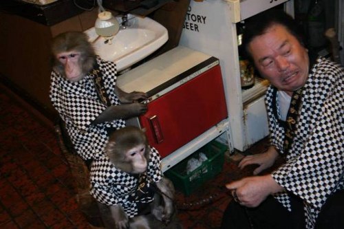 Σερβιτόροι- μαϊμούδες σε γιαπωνέζικο εστιατόριο! - Φωτογραφία 4
