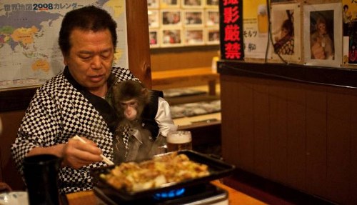Σερβιτόροι- μαϊμούδες σε γιαπωνέζικο εστιατόριο! - Φωτογραφία 5
