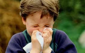 Αλλεργική ρινίτιδα, πως παρουσιάζεται στα παιδιά - Φωτογραφία 1