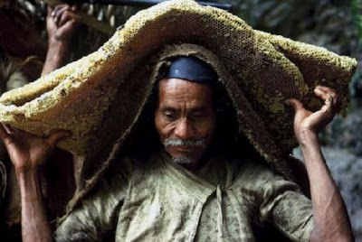 Το επικίνδυνο κυνήγι του μελιού στο Νεπάλ - Φωτογραφία 8