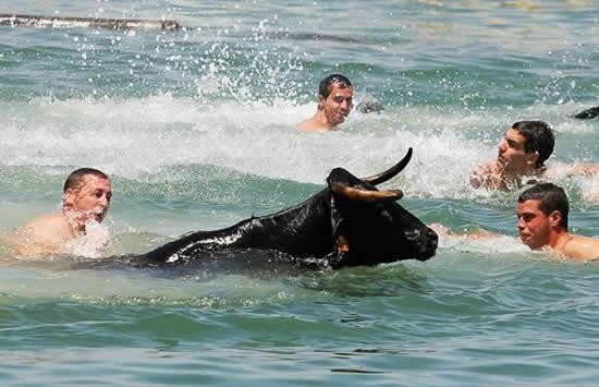 Μη χειρότερα: Ταύροι κυνηγούν τον κόσμο… μέχρι να βουτήξει στη θάλασσα! (φωτο) - Φωτογραφία 2