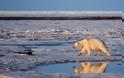 «Μη αναστρέψιμη» απώλεια προβλέπεται για τους πάγους του Καναδά - Φωτογραφία 1
