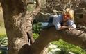 «Είναι γραφική η Μενεγάκη, κοτζάμ γυναίκα να καβαλάει δέντρα», δηλώνει παρουσιαστής