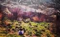 Aγγελική Ηλιάδη: Φωτογράφησε τον Μπαμπίνο της με φόντο… καμένο δάσος
