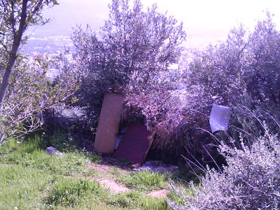 Καταγγελία αναγνώστη Σκουπίδια και μπάζα πνίγουν το Αττικό άλσος - Φωτογραφία 4